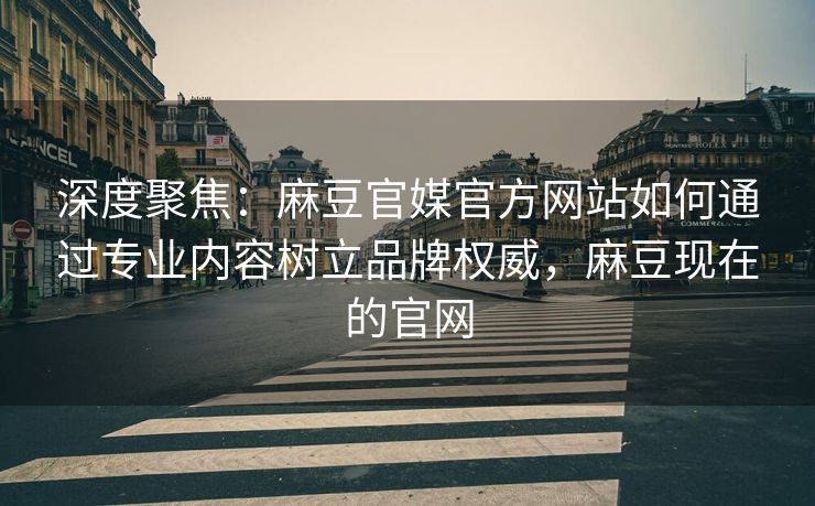 深度聚焦：麻豆官媒官方网站如何通过专业内容树立品牌权威，麻豆现在的官网
