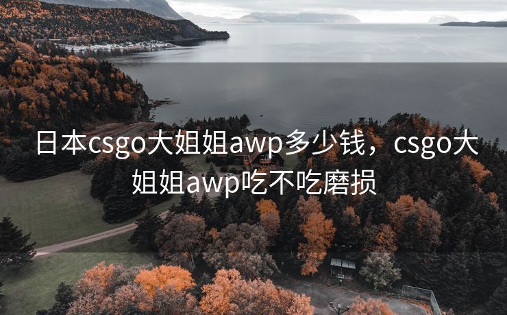 日本csgo大姐姐awp多少钱，csgo大姐姐awp吃不吃磨损