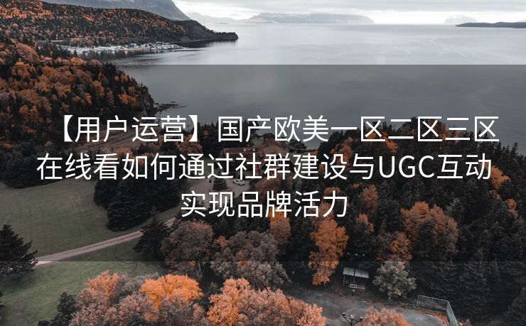 【用户运营】国产欧美一区二区三区在线看如何通过社群建设与UGC互动实现品牌活力